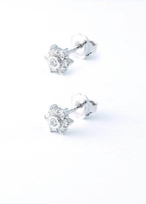 Graciously beautified earrings